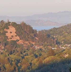 Meet your Posher, Jacinta